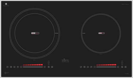 Bếp 2 từ Topy TP-A66 Plus